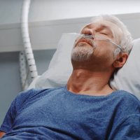 What is a vegetative state?