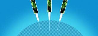 adjuvants
