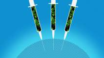 adjuvants