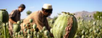 Afghan Farmers Solar Panels Opium