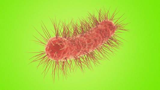 Antibiotic Resistance