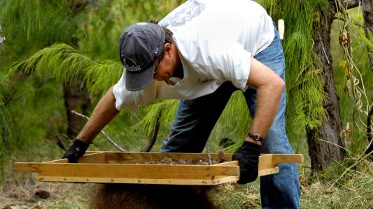 Ancient Human Viruses Weird and Familiar