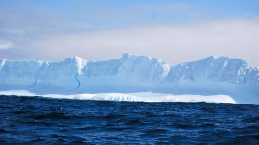 arctic sea ice