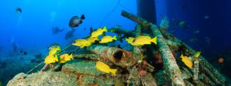 artificial reefs