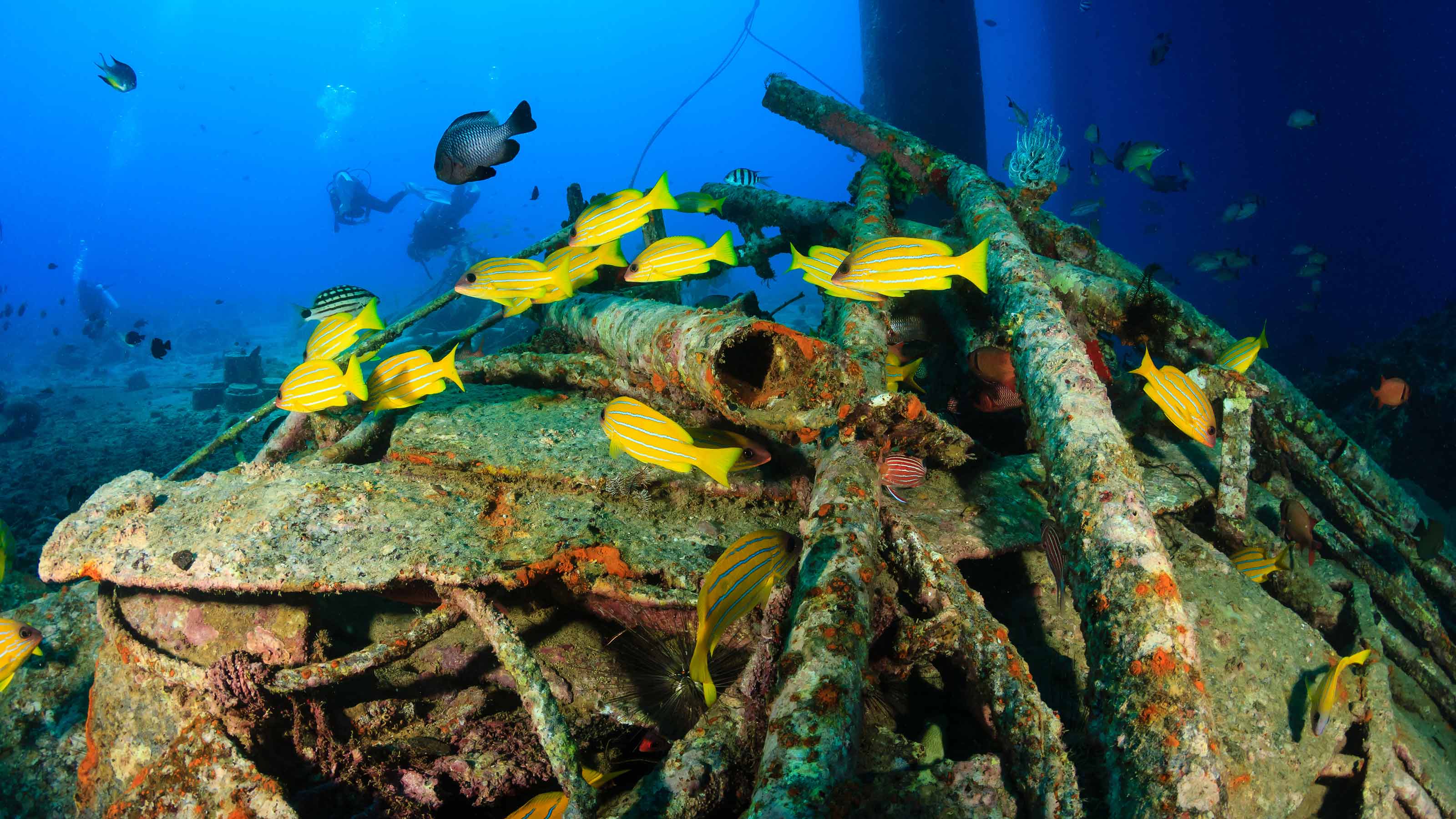 artificial reefs
