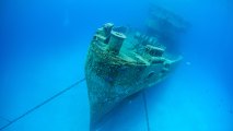 AUV