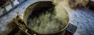 ayahuasca experience