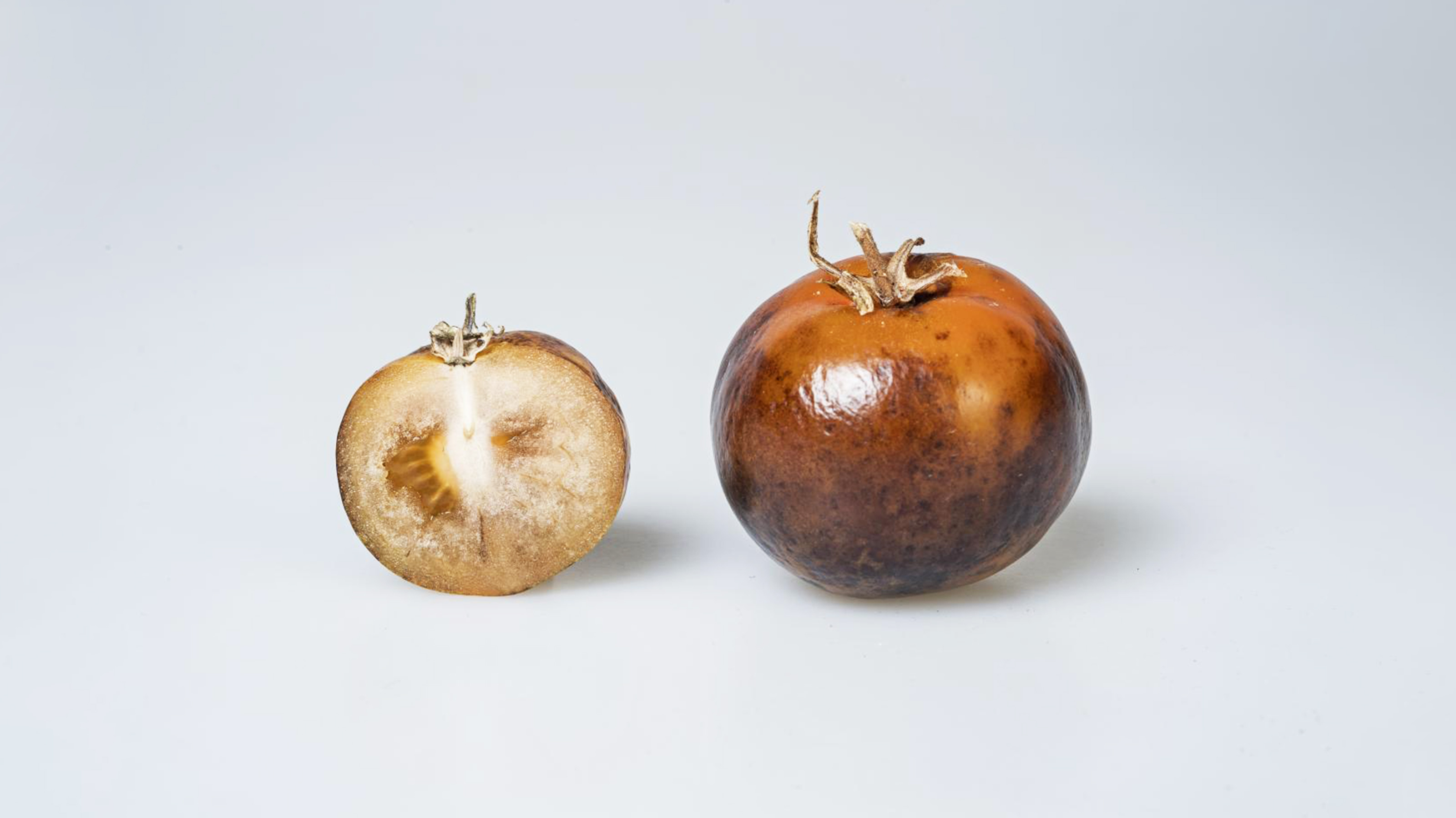 biopharmaceutical drug for parkinsons