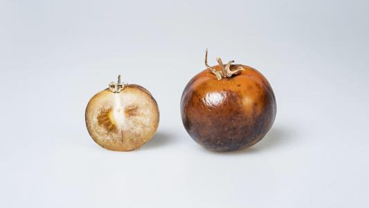 biopharmaceutical drug for parkinsons