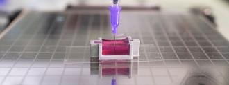 bioprinting