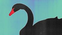 black swan event