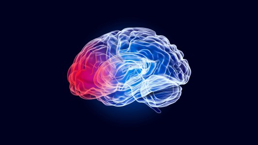 brain injury test