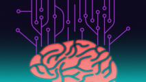brain mapping