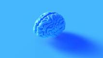 brain training