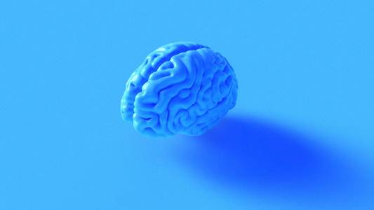brain training