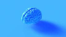 brain training