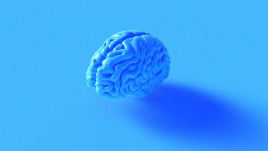 brain training