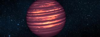 brown dwarfs