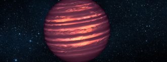 brown dwarfs