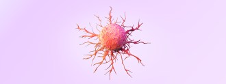 cancer and aging