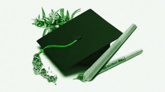 cannabis degree program