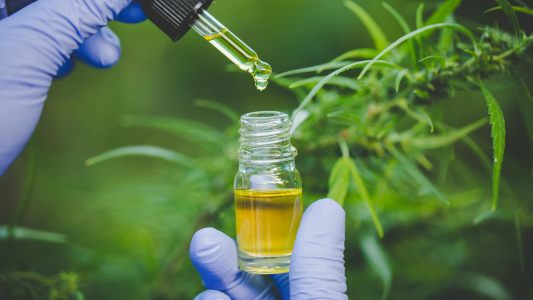 CBD and antibiotics