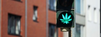 cbd driving