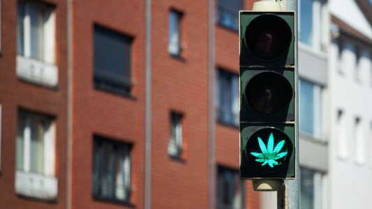 cbd driving