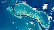 citizen science