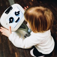 Companion robots