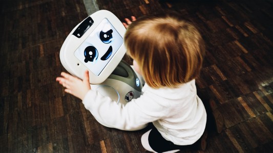 Companion robots