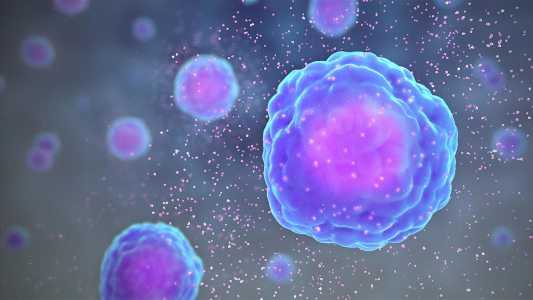 coronavirus immune response