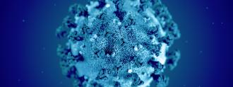 coronavirus news