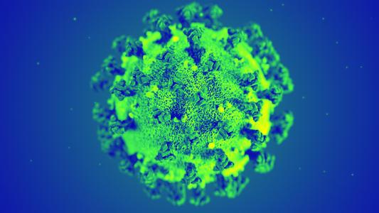 coronavirus news