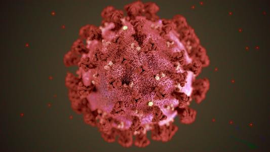 coronavirus news