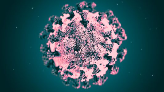 coronavirus news
