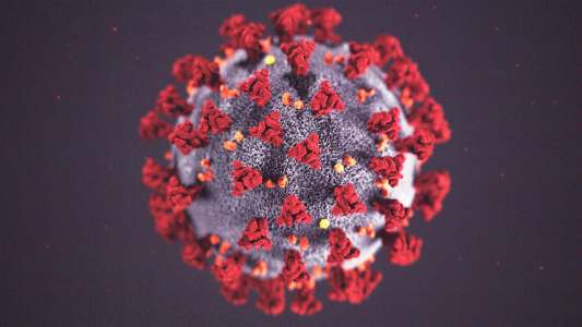 coronavirus predictions