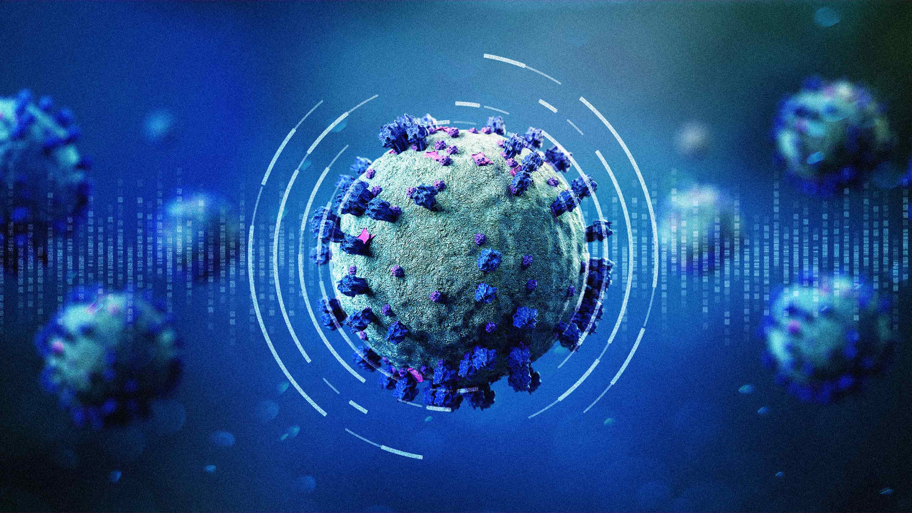 Coronavirus Structure