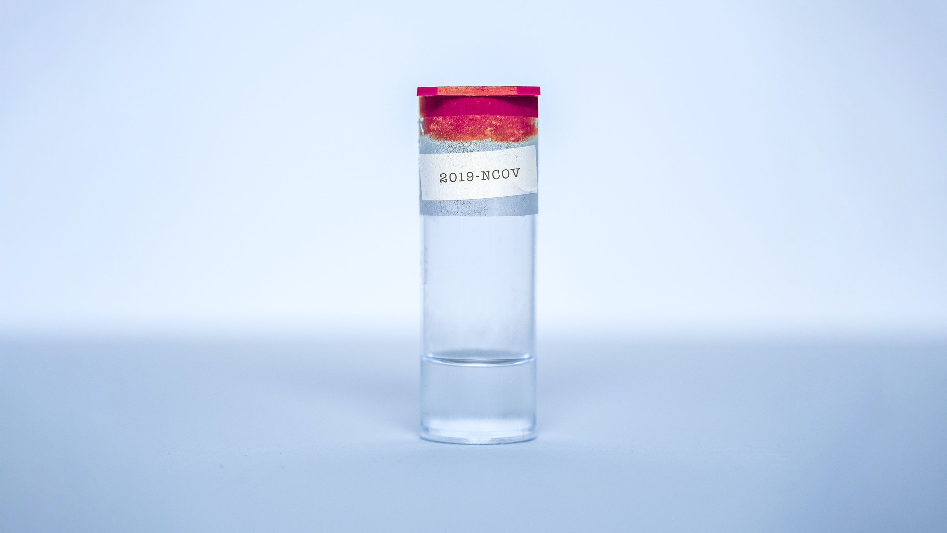 coronavirus vaccines