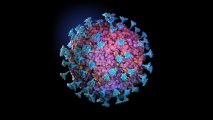 COVID reinfection