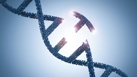 crispr gene editing