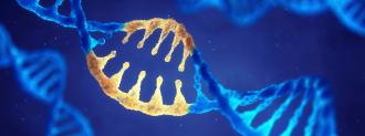 reversible gene editing