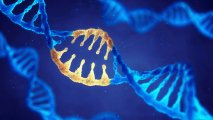 reversible gene editing