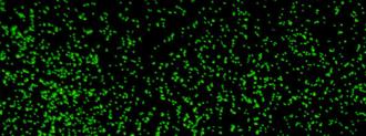 deep sea microbes