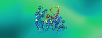 protein structures