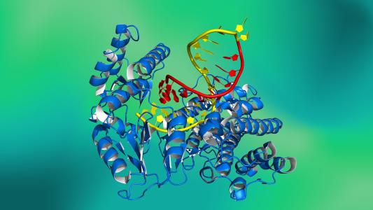 protein structures