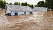 Disaster Relief