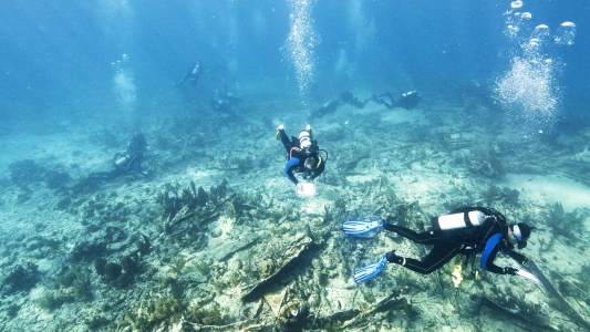 diving with a purpose