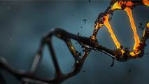 protect DNA