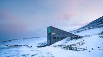 seed vault